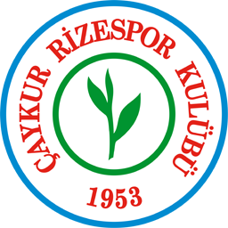 Fenerbahce 3 1 Rizespor Super Lig Round 34 Goalalert